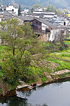 soi cầu xổ số tây ninh