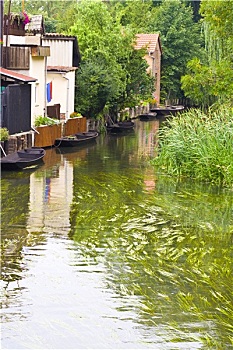 soi cau bach thu binh dinh