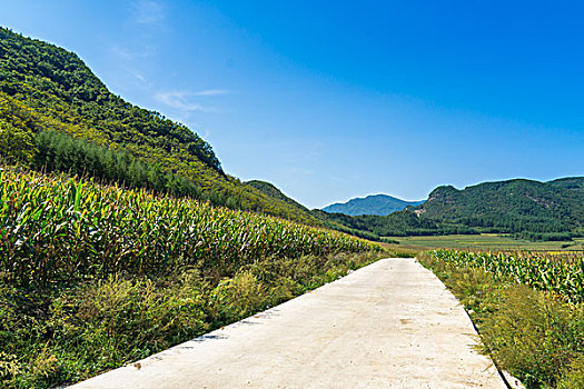 soi cầu 39