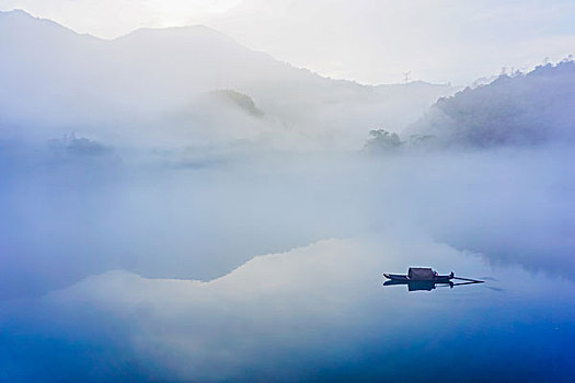 lo rong bạch kim