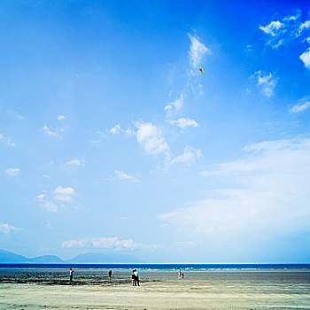 soi bạch thủ lô