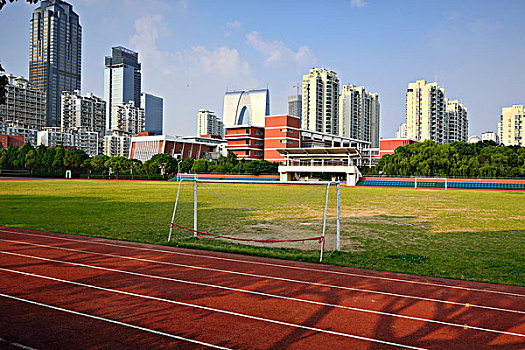 soi cau bach thu mien bac mien phi