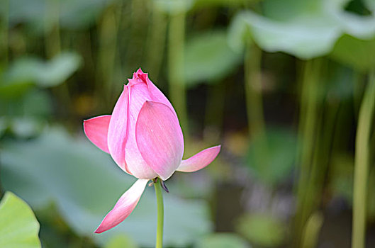 xổ số miền