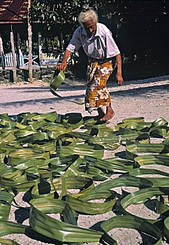 xổ số thành phố hồ chí minh
