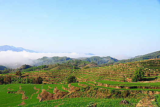 xs minh ngoc mien bac