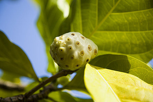 số đồng nai
