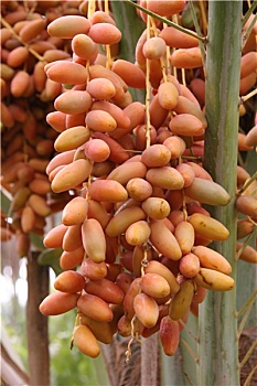 xổ số miền nam ngày thứ bảy