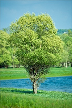 xổ số miền bắc thứ sáu tuần trước