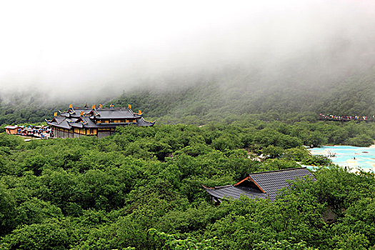 soi cau bach thu tp