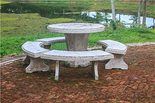 soi cau bach thu binh dinh