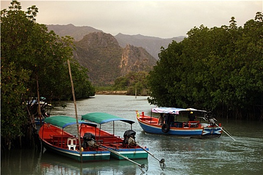 soi cầu bắc nam