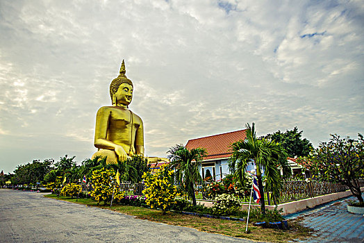 soi cau bach thu lo de mien bac mien phi
