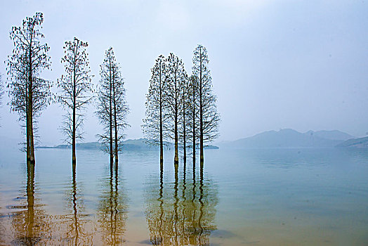 trang đánh số đề uy tín