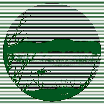 ketqua net