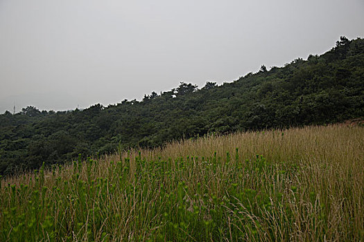xổ số chiều nay
