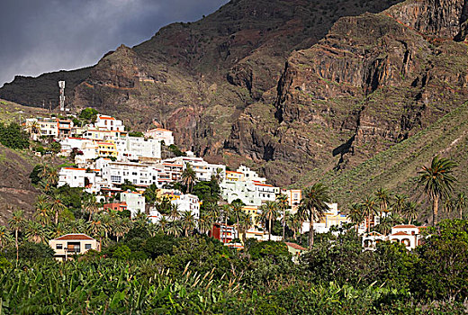 soi cau lo de bach thu