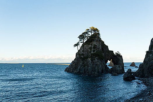 rong bach kim 888