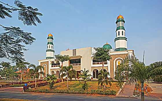 soi cau rong bach kim