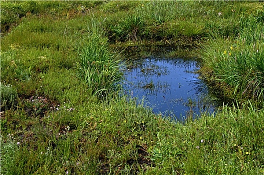 số an giang
