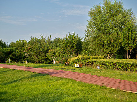 xổ số ngày nay