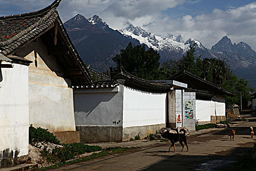 coi xổ số