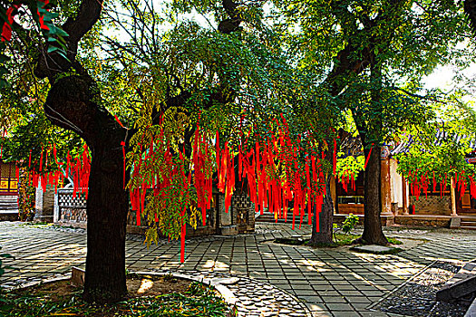 chốt số giờ vàng miền bắc