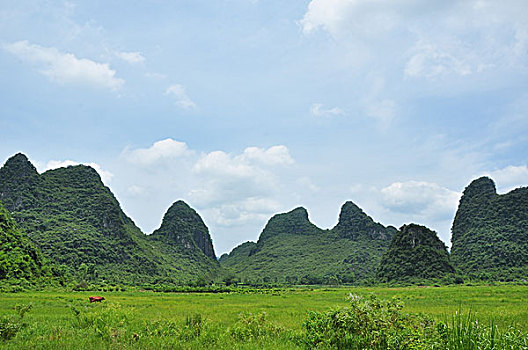 rongbachkim pc