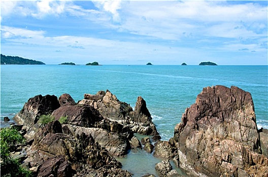 soi cau bạch thu