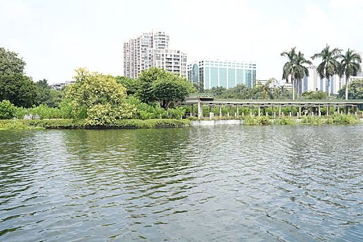 soi cau 6116