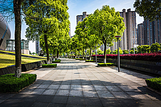 lô bạch thủ miễn phí