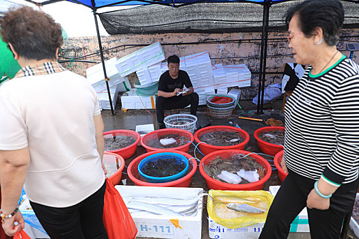 chơi số đề trên mạng