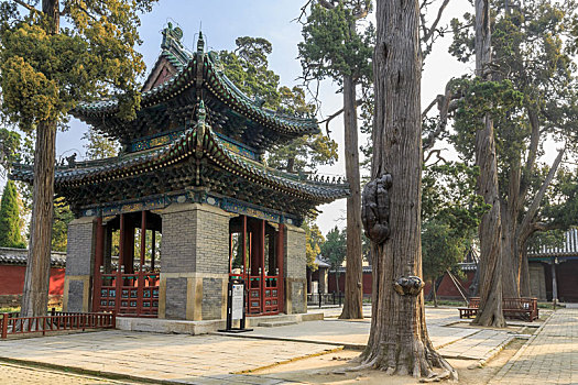 xổ số cà mau