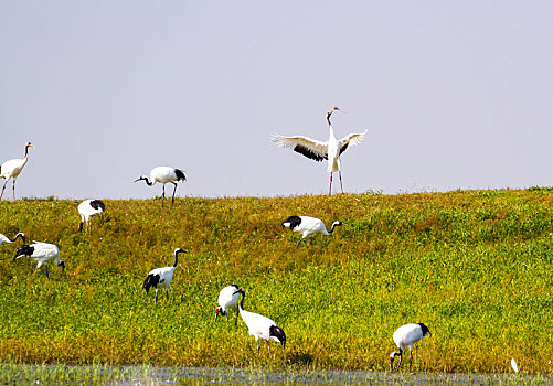 xổ số an giang hàng tuần