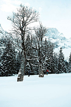 du doan xs hcm