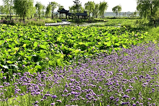 xsmn thứ 4