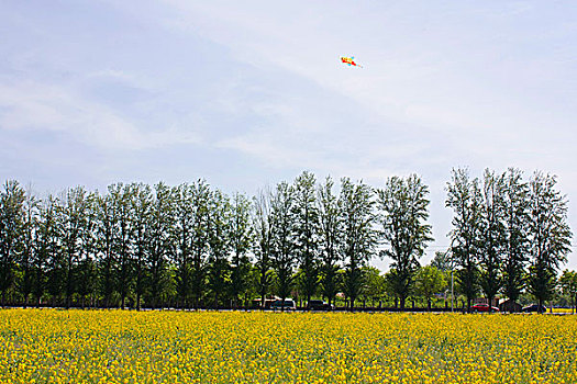 sổ kết quả 100 ngày