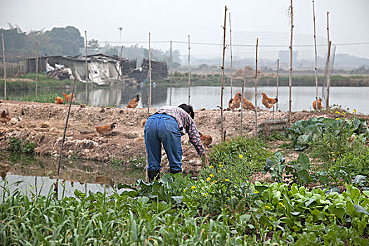 xổ số cà mau tuần rồi