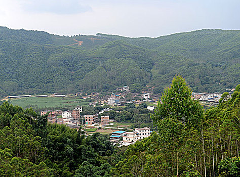soi cau 288