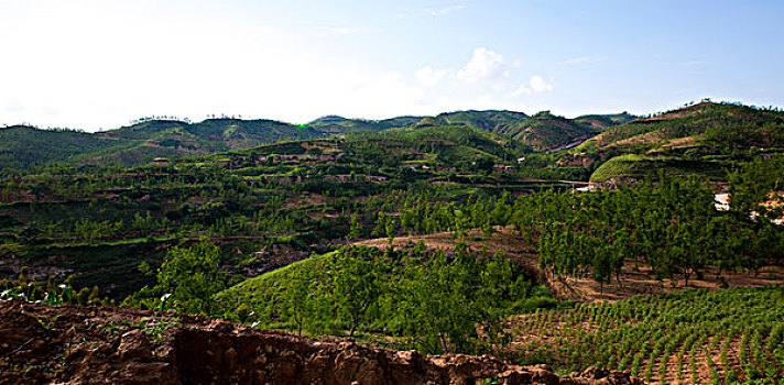soi cau du doan mb