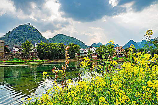 soi cau vip binh dinh