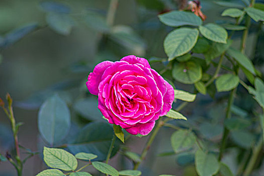 soi cầu ưin2888