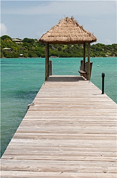 dự đoán bình định