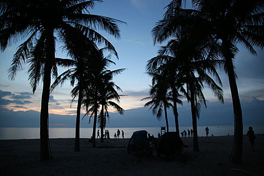 soi bach thu