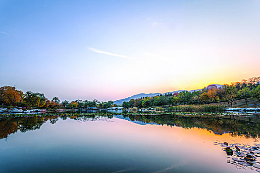 chơi đề