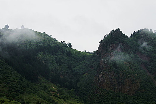 du doan mb rong bach kim