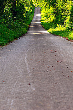 cau bach thu kep