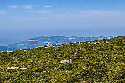 bạch thủ lo hôm nay