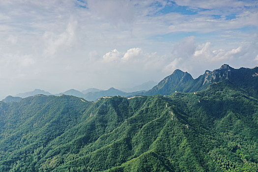 soi cau