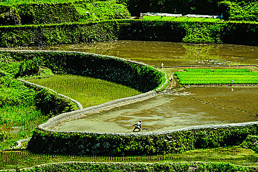 xổ số miền