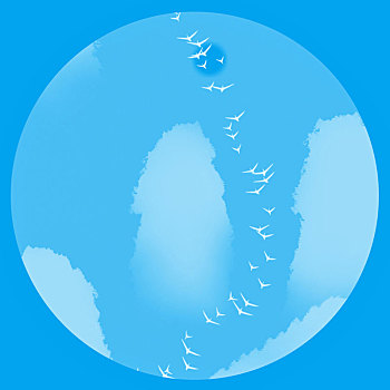 soi số miền bắc